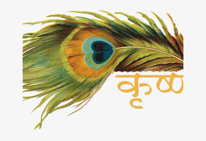 Fluted Clipart Hare Krishna - Peacock Feathers With Names, transparent png
