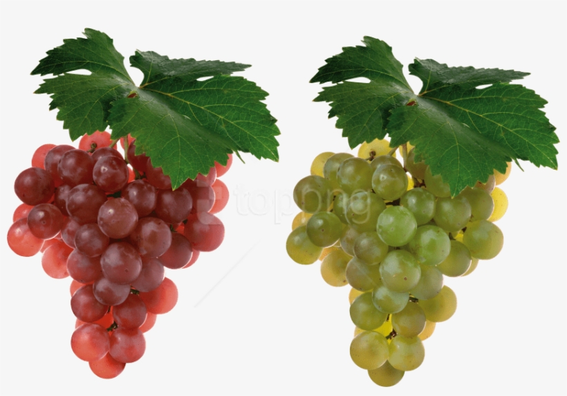 Free Png Download Grapes Png Images Background Png - Grapes Fruit, transparent png