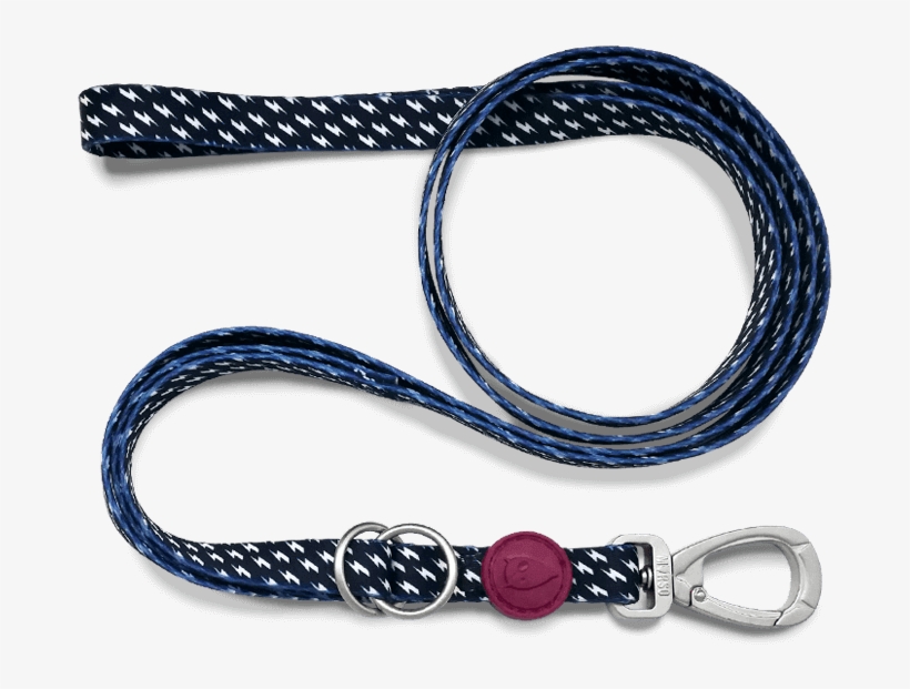 Multifunction Dog Leash - Chain, transparent png