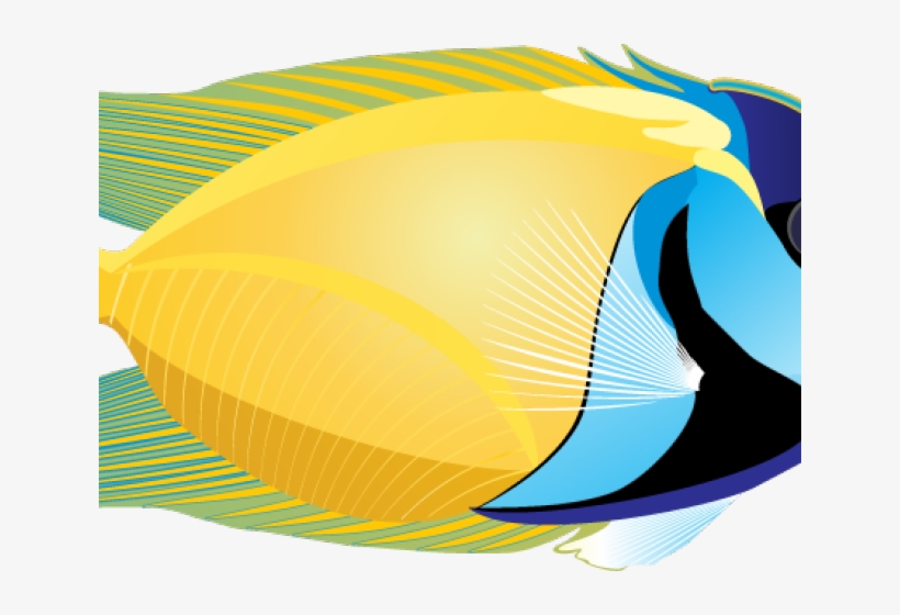 Marine Fish Clipart Real Fish - Fish On White Background, transparent png