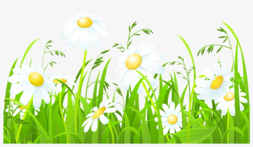 Free Png Download White Flowers And Grass Transparent - Clipart Of Grass And Flowers, transparent png