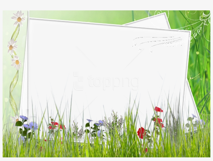 Free Png Green And White Transparent Frame With Field - Green Flower Borders And Frames, transparent png