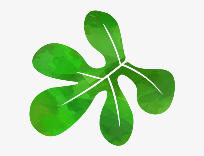 Another Green Leaf - Illustration, transparent png