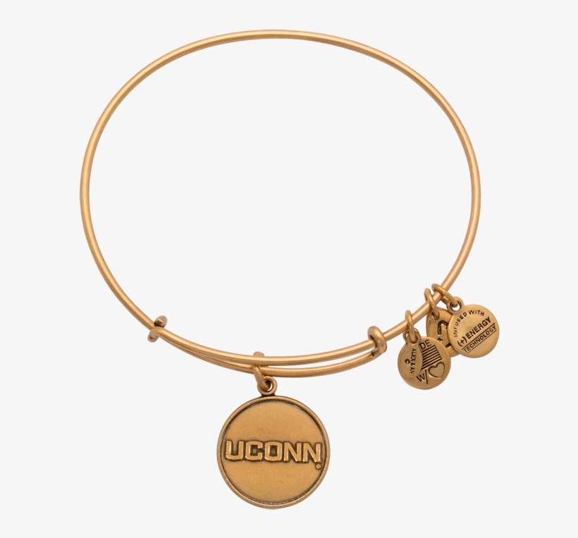 University Of Connecticut Logo Charm Bracelet - Bracelet, transparent png