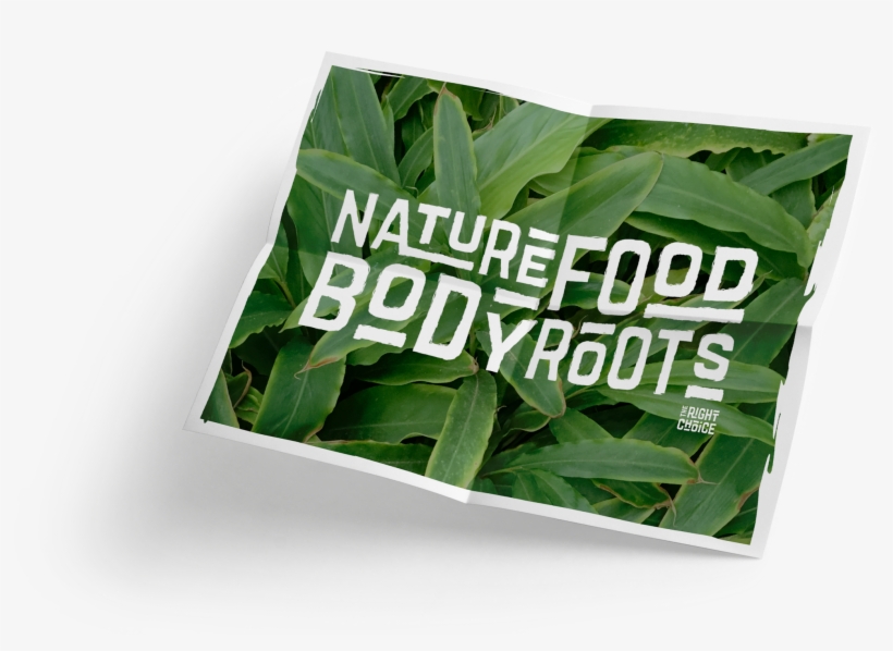 More Information - Herbal, transparent png