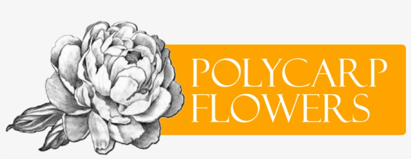 Summit, Nj Florist - Fleur De Pivoine Dessin, transparent png