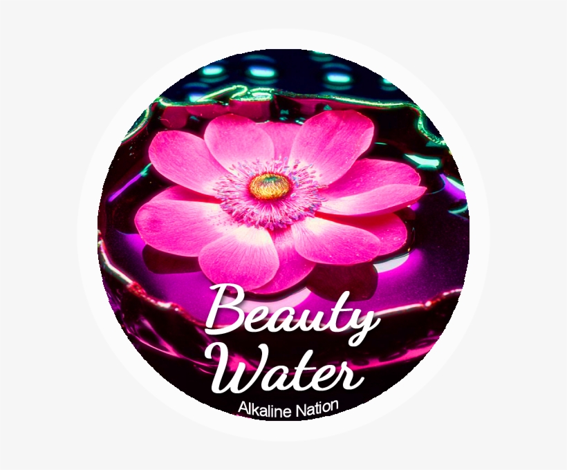 Download Transparent Beautiful Skin - 12 Stickers - - Flowers - PNGkit
