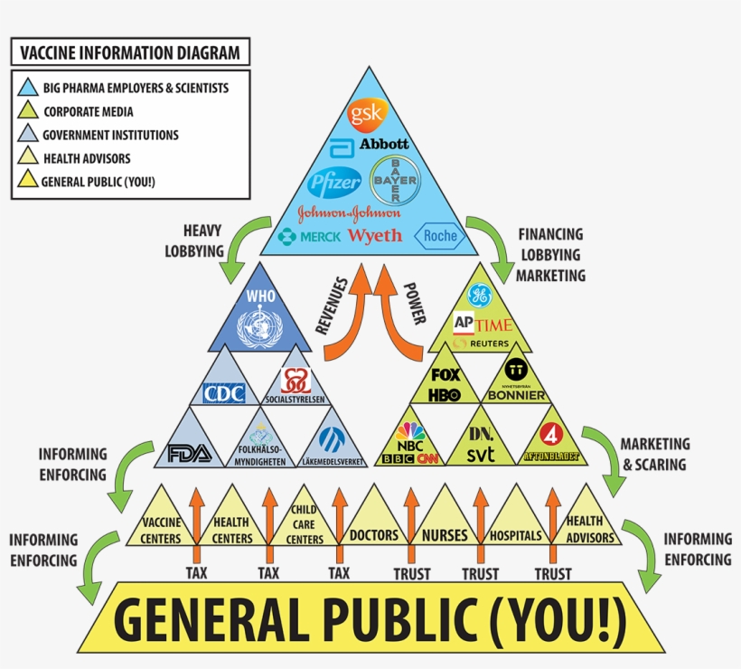 13 Alarming Scientific Studies About Vaccine Safety - Vaccine Safety, transparent png
