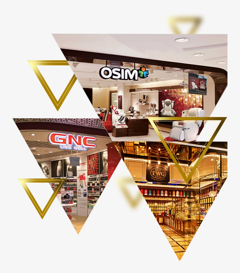 Corporate Profile, transparent png