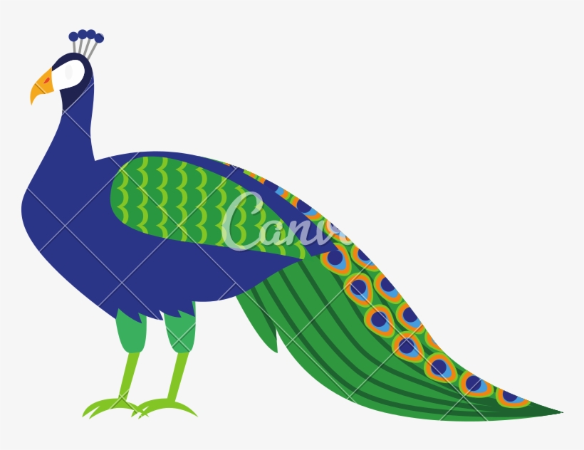 Isolated Icons By Canva - Peafowl, transparent png