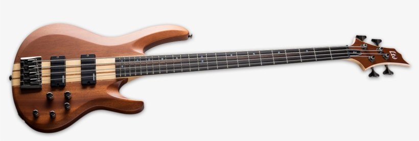 But Never Thought You Could Afford Is Right Here - Bass Guitar, transparent png