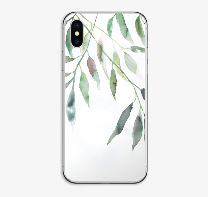 Ramas De Olivo - Iphone, transparent png