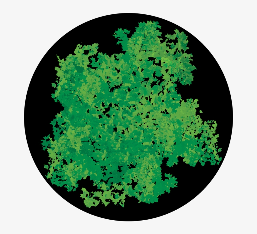 Impressionist Foliage - Circle, transparent png