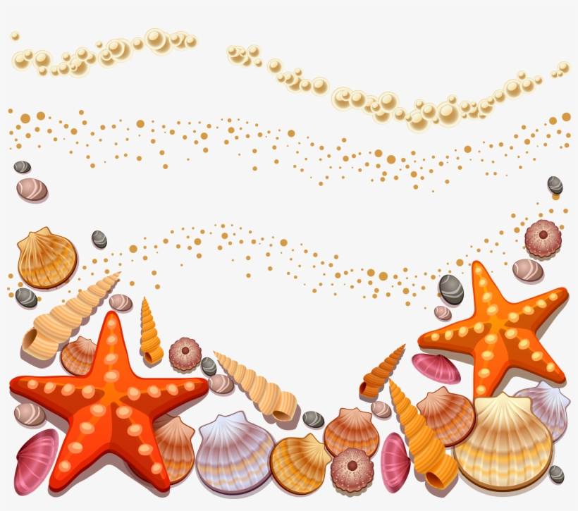 Seashell Silhouette - Google Search - Shells On The Beach Clipart, transparent png