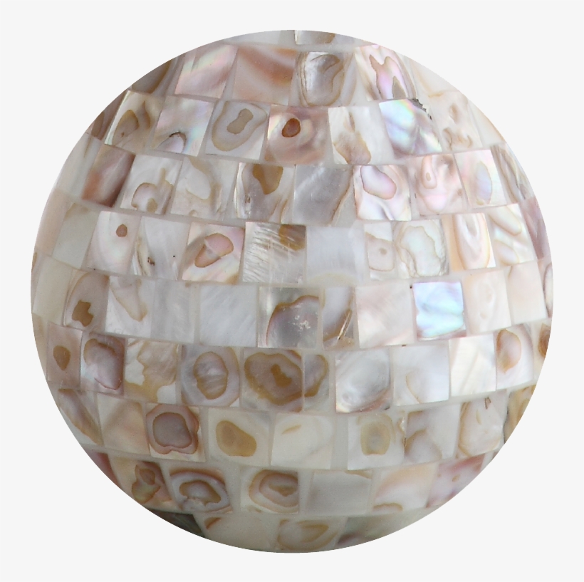 Seashell - Onyx, transparent png