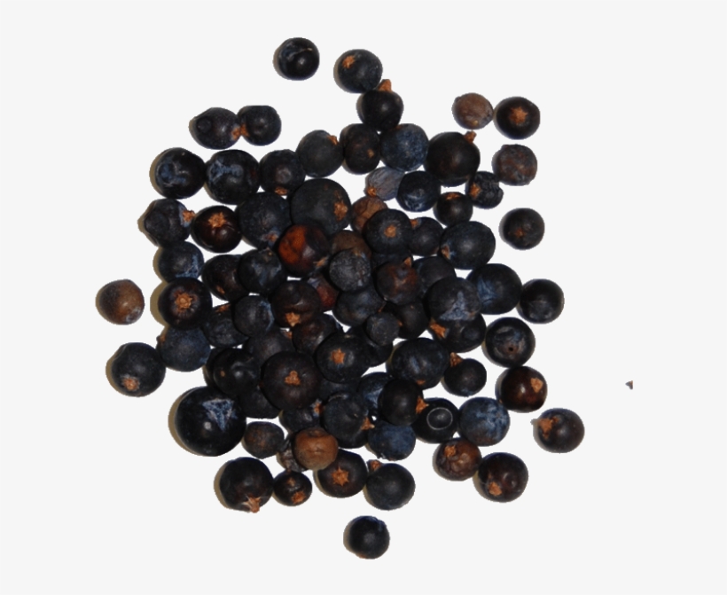Juniper Berries - Juniper Berry, transparent png