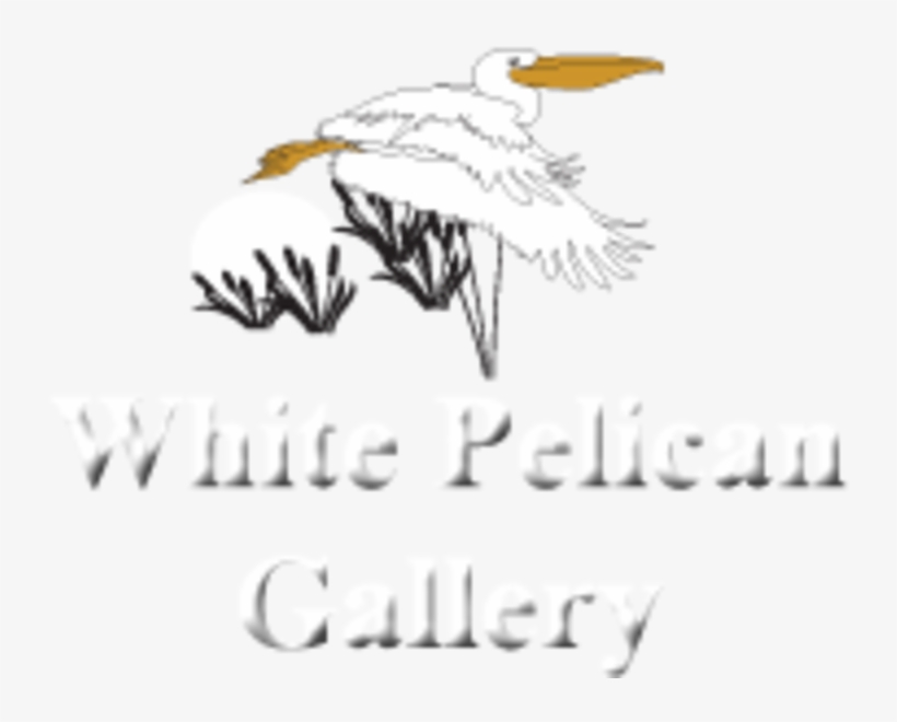 White Pelican Gallery Logo - Seabird, transparent png