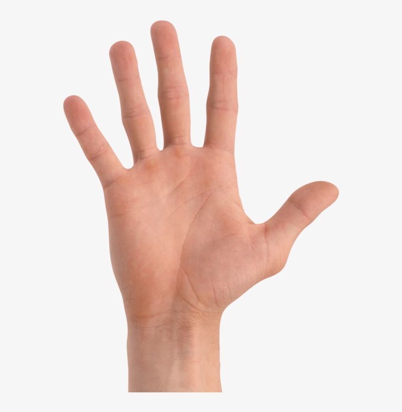 We're In Serious Danger - Линия Интуиции На Руке, transparent png
