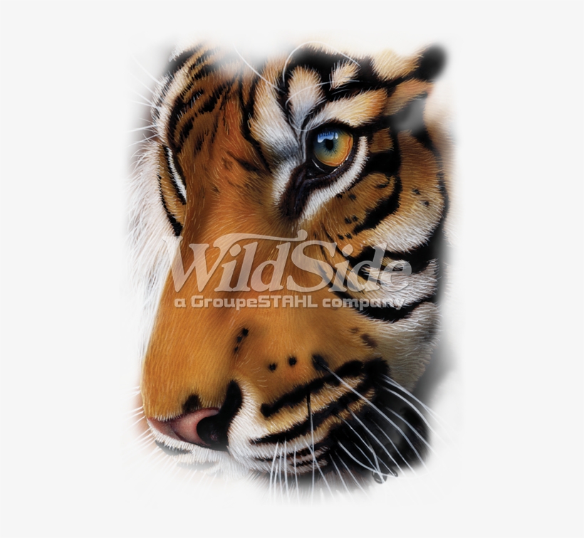 Tiger - Graphic Oversize - Shirt, transparent png