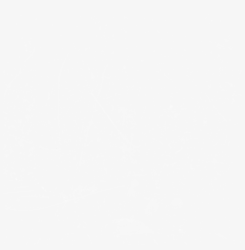 #ftestickers #4trueartists #retro #old #scratches #effect - Leinster Rugby Logo White, transparent png