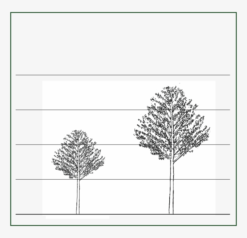 Mm106 - Line Art, transparent png