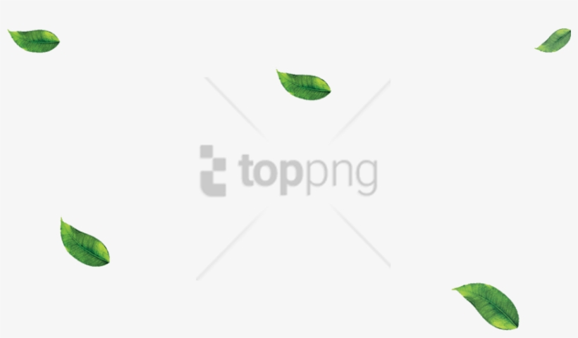 Free Png Leaf Png Image With Transparent Background - Illustration, transparent png