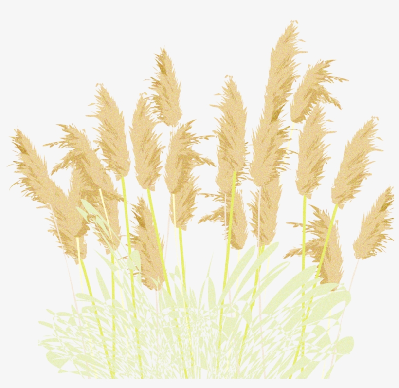 Prev / Next, transparent png