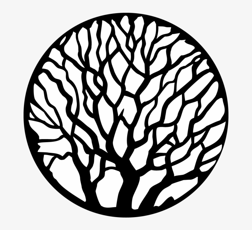 Tree - Bare - Asean University Sports Council Logo, transparent png