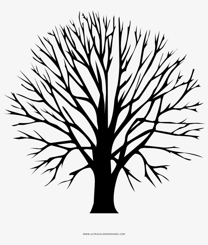 Bare Tree Coloring Page - Tree Logo Gold, transparent png