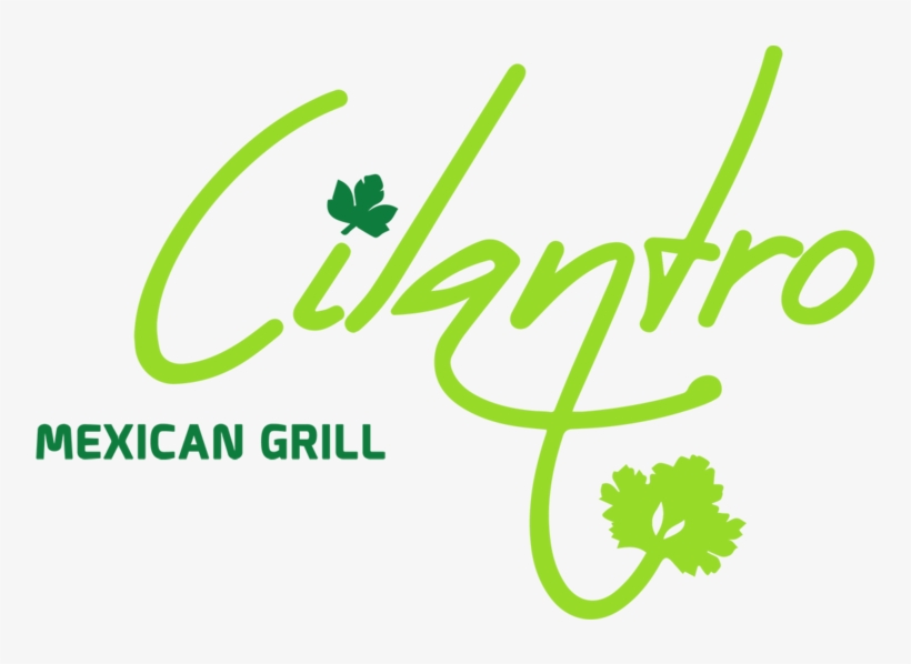 Cilantro Png, transparent png