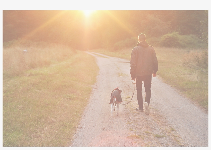 Your Pets Will Thank You - Dog Walking, transparent png