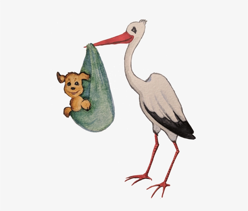 Puppy Care - Black Stork, transparent png