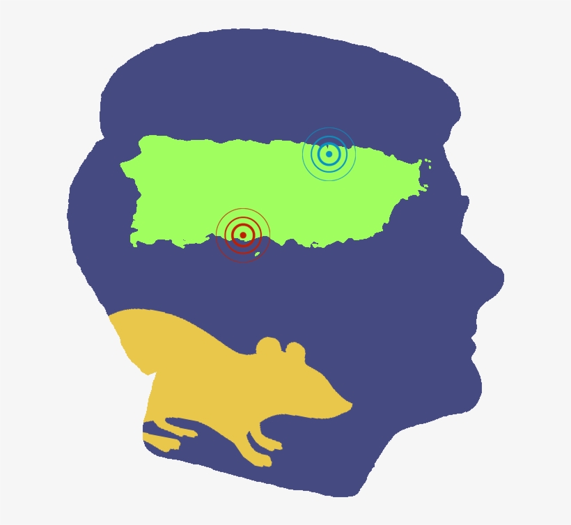 Legacy 20th Anniversary Quirk Lab - Puerto Rico Con Sus Pueblos, transparent png