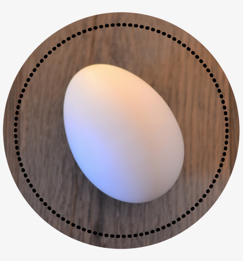Goose Egg Wood, transparent png