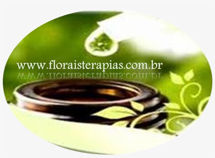 Floraisterapias - Cd, transparent png
