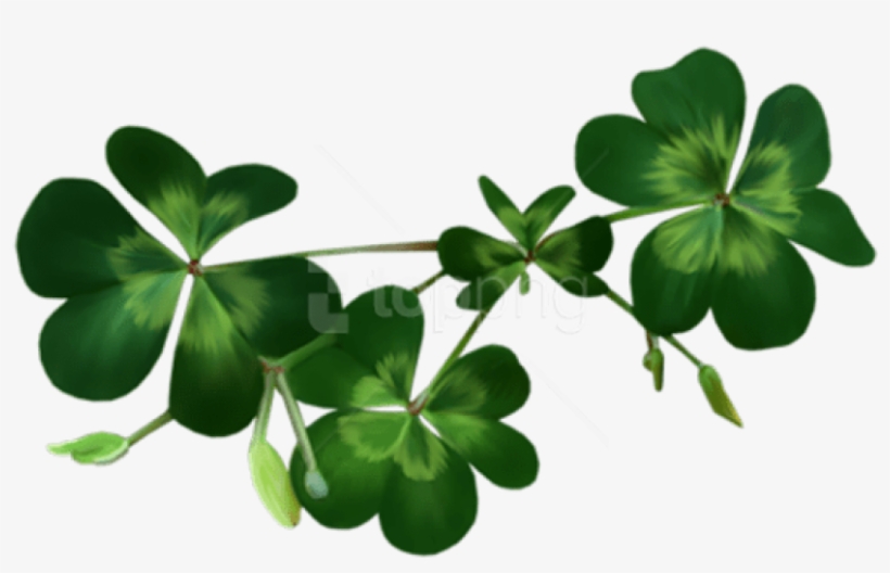 Free Png Download Irish Shamrocks Png Images Background - Transparent Background Shamrock Png, transparent png