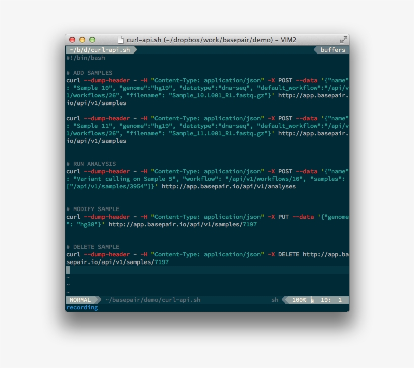 Api-curl - Vim Customize, transparent png