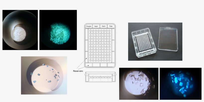 Set Up Sitting Drop And Microbatch Under Oil Experiments - Sphere, transparent png