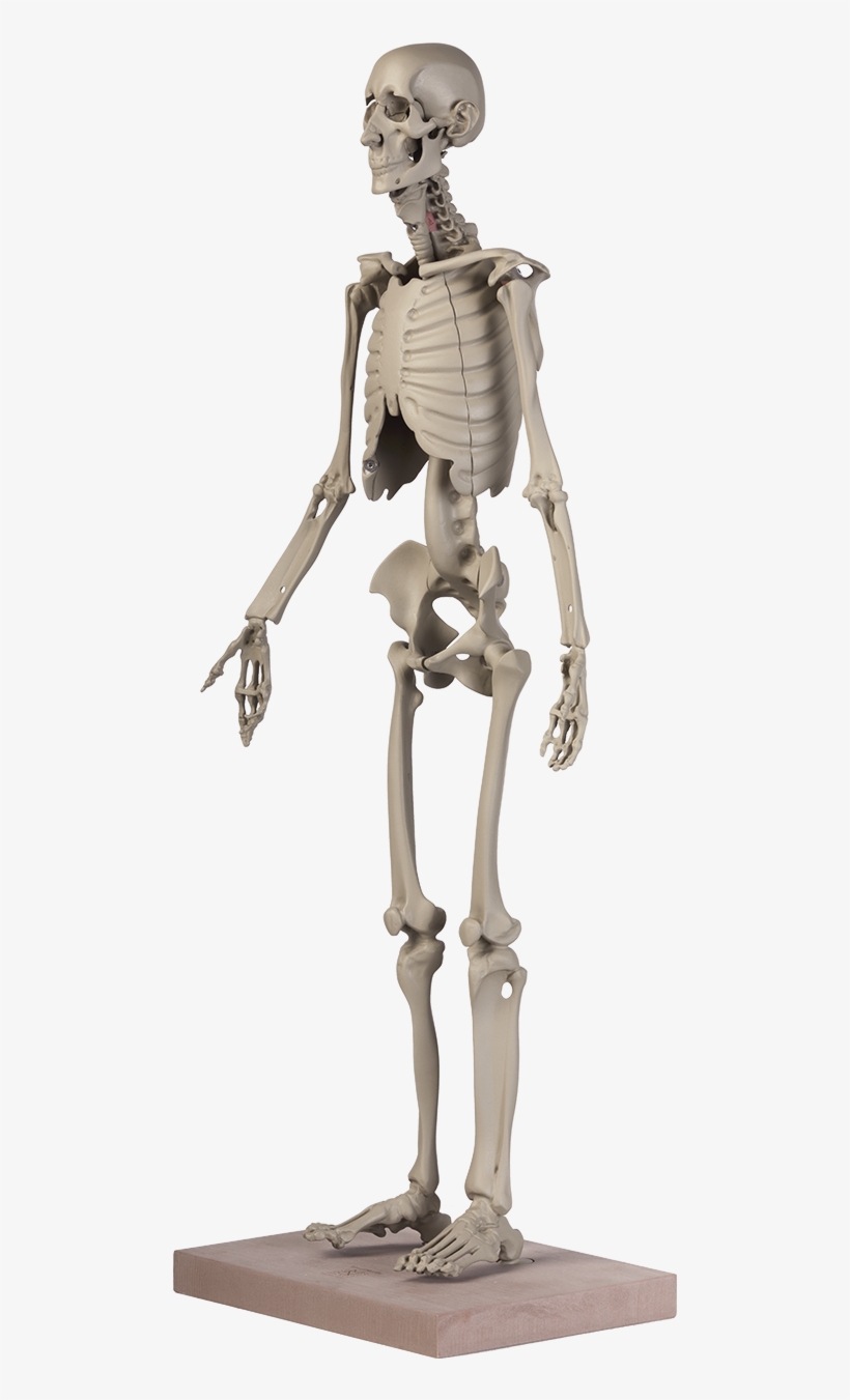 Maniken® Classic - Figurine, transparent png