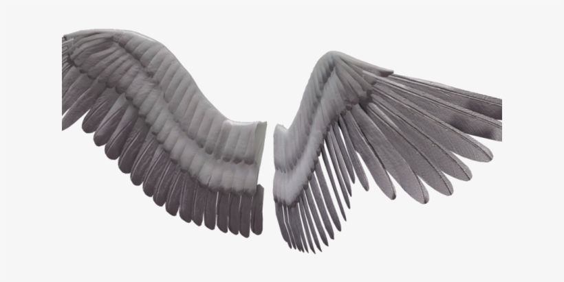 Dark Angel Clipart Real - Angel Wings No Background, transparent png