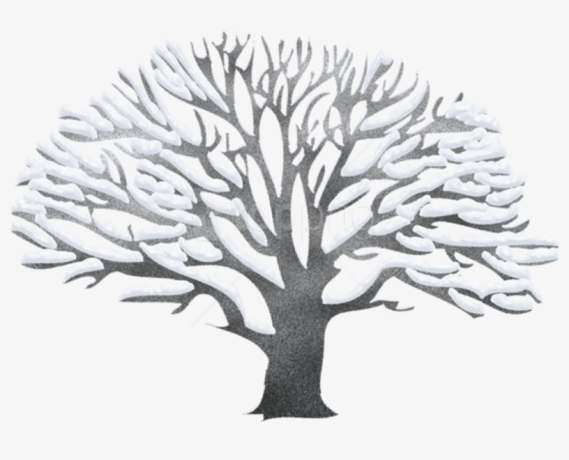 Free Png Download Winter Snowy Black Tree Png Images - Transparent Winter Tree Clipart, transparent png