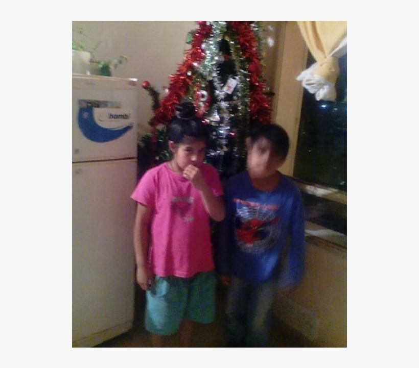 Un Nene Pidió Un Árbol De Navidad Por Facebook - Christmas Ornament, transparent png