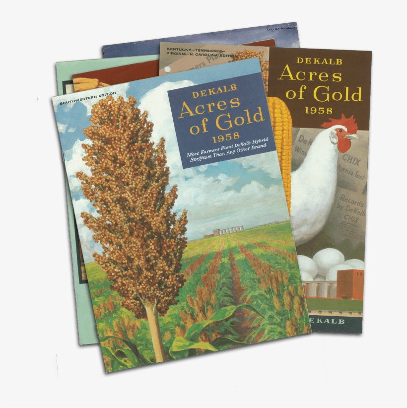 Stack Of Publications - Turkey, transparent png
