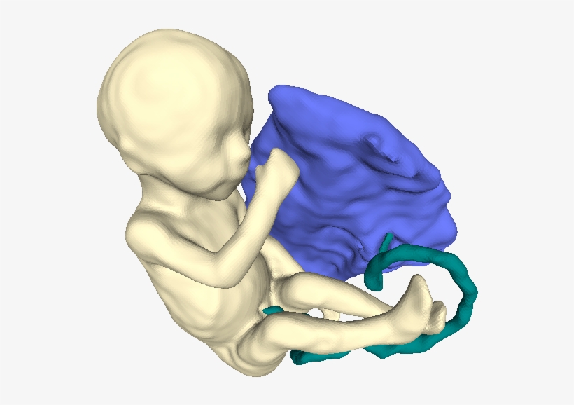 The Weighting Game - Illustration, transparent png
