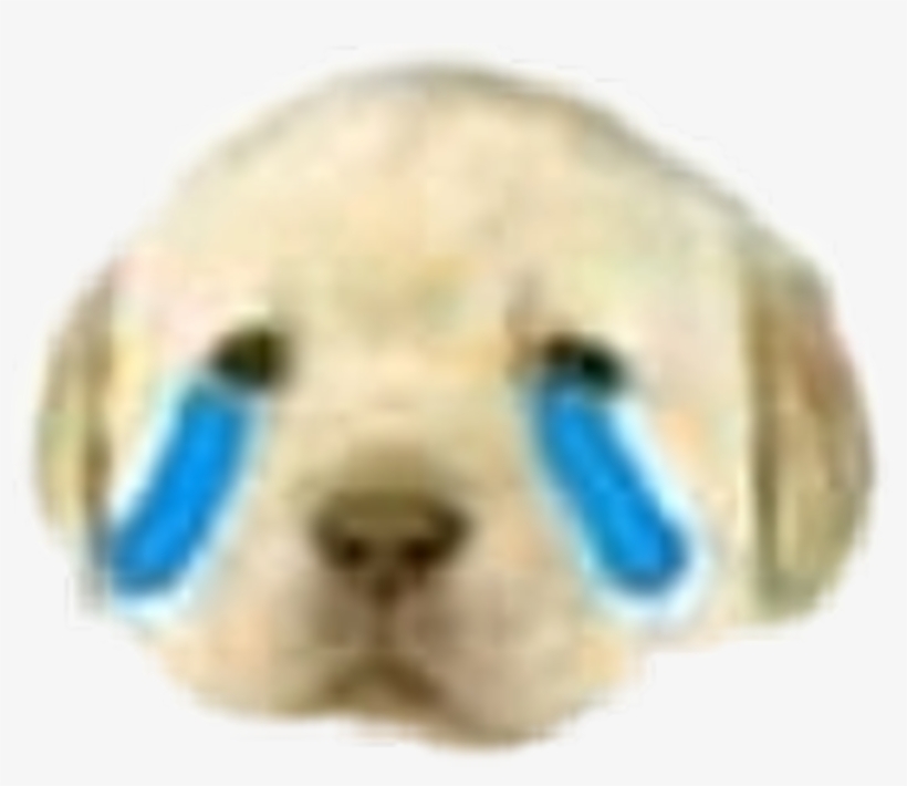 Meme Dog Sad Sticker January Lol Idk - Harbor Seal, transparent png