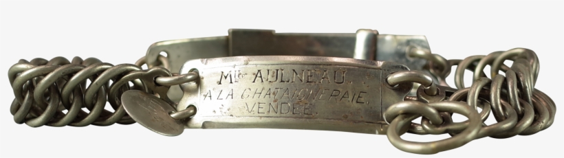 Nickel Dog Collar With Engraved Name Plate - Strap, transparent png
