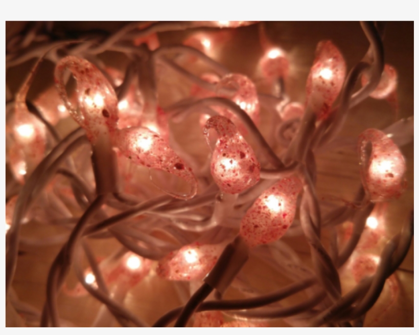 Crushed Cranberry Hand Dipped Light Strand - Art, transparent png