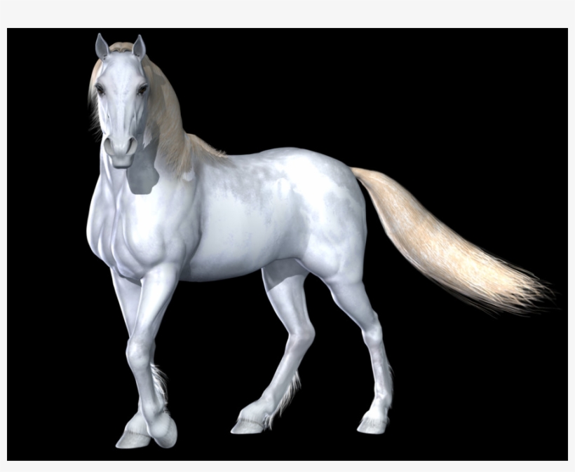 Red Dead Redemption Montado No Cavalo, transparent png