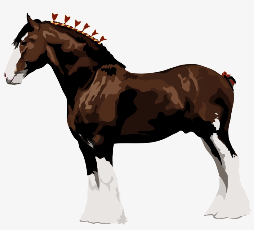 Clydesdale - Clydesdale Draft Horse, transparent png