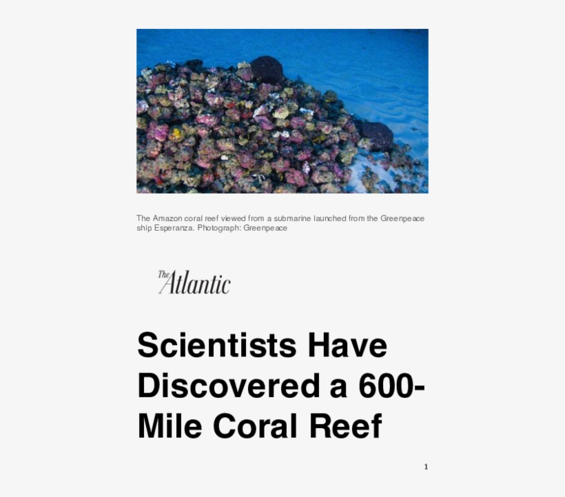 Scientists Discover New 600- Mile Coral Reef In Brazil - Atlantic, transparent png
